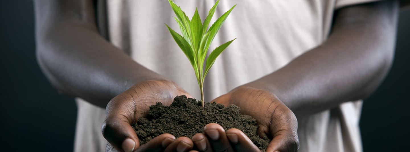 Banque Banque Nationale De D veloppement Agricole Banque Banque Nationale De D veloppement Agricole